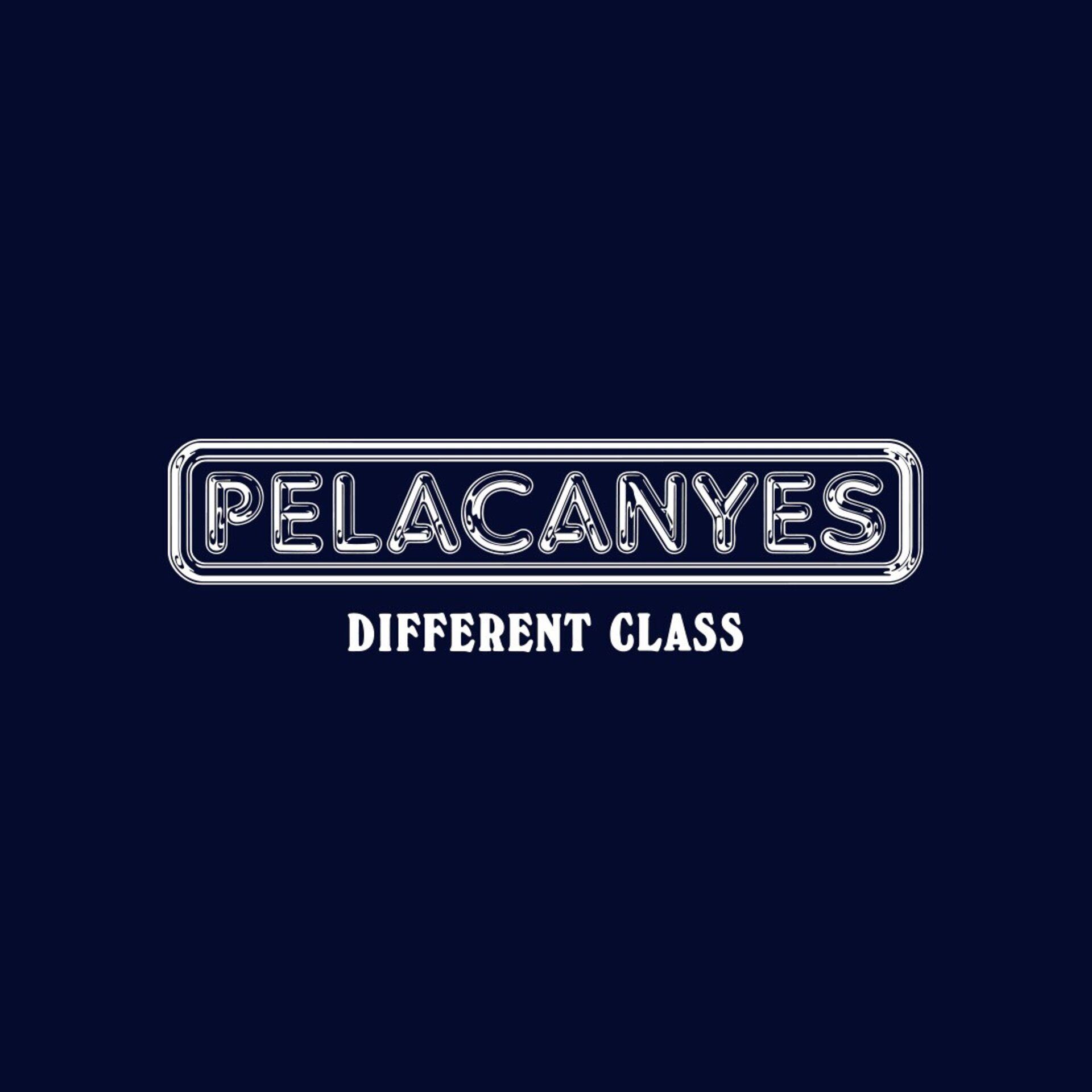 Tote bag Pelacanyes - 3